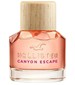 Hollister Hollister Canyon Escape Woman
