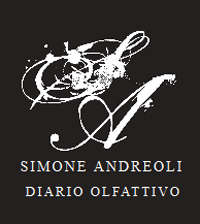 Simone Andreoli Simone Andreoli Logo