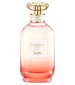 Coach Coach Dreams Sunset
