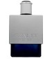 Gant Gant Silver