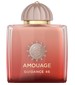 Amouage Guidance 46