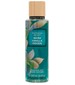 Victoria's Secret Warm Vanilla Woods