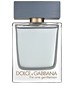 Dolce&Gabbana The One Gentleman