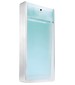 Porsche Design The Essence Summer Ice
