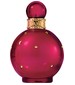 Britney Spears Fantasy Intense
