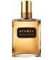 Aramis Aramis Modern Leather
