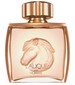 Lalique Lalique Pour Homme Equus