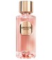 Lancôme Absolue 6AM Rose