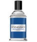 Emanuel Ungaro Metallic Acqua