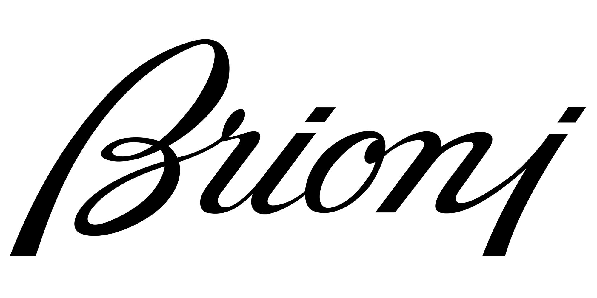 Brioni Brioni Logo