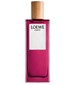 Loewe Earth