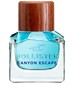 Hollister Hollister Canyon Escape Man