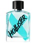 Hollister Hollister Wave X For Man
