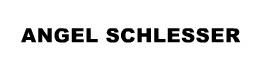 Angel Schlesser Angel Schlesser Logo