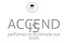 Accendis Logo