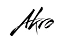 Akro Logo