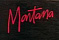 Montana Logo